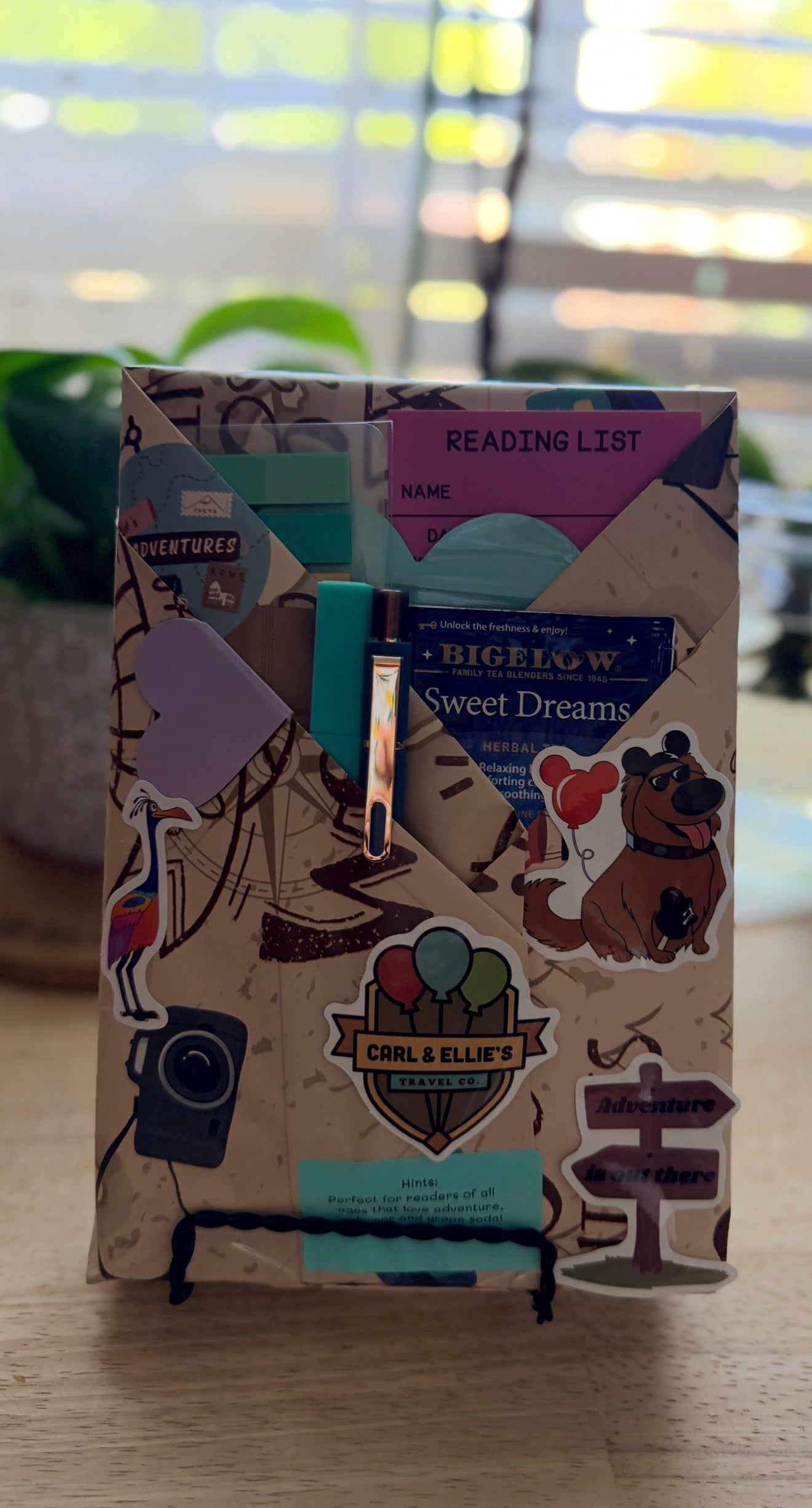Disney-Blind Date with a book: Adventure