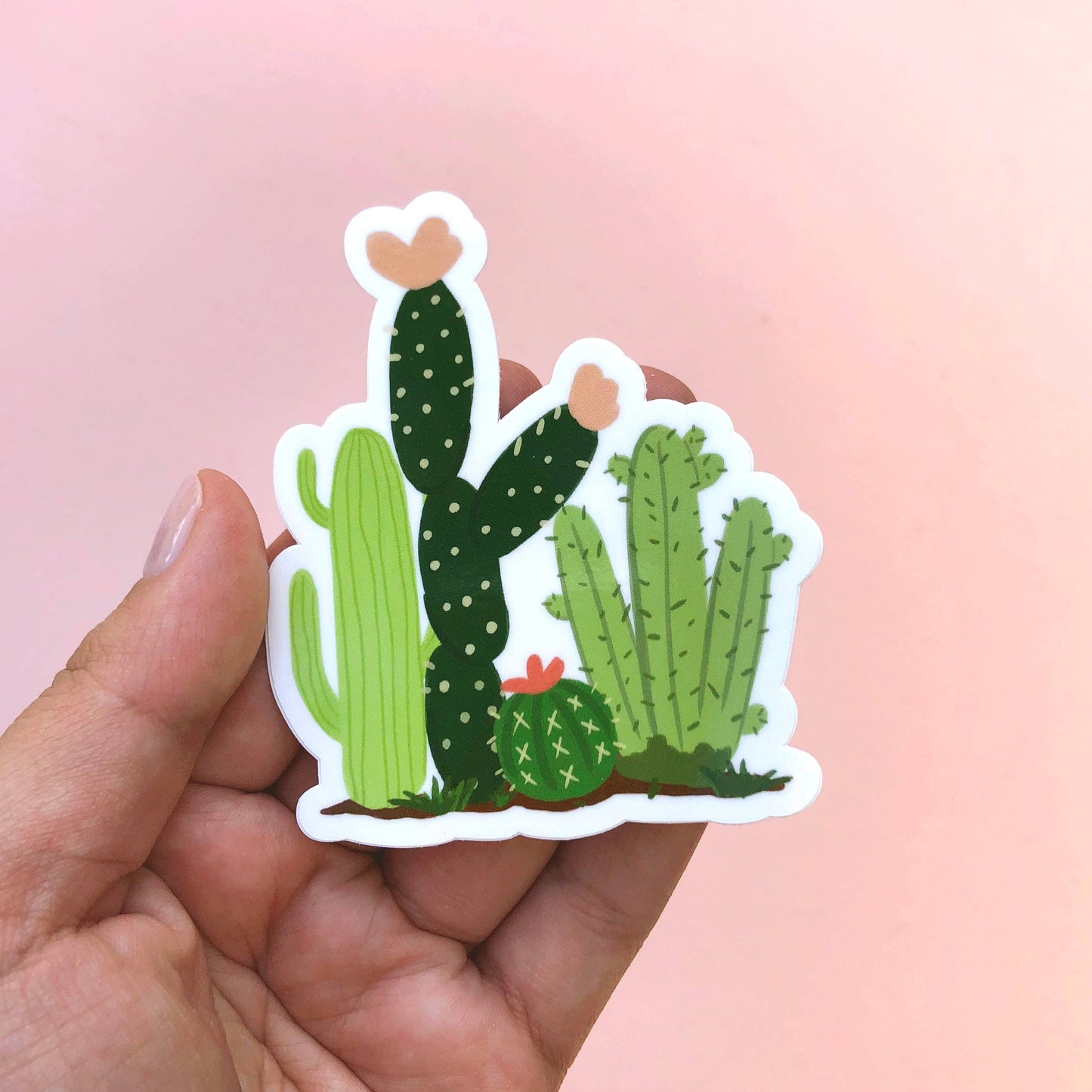 Cacti Field Vinyl Sticker: No packaging - sent loose